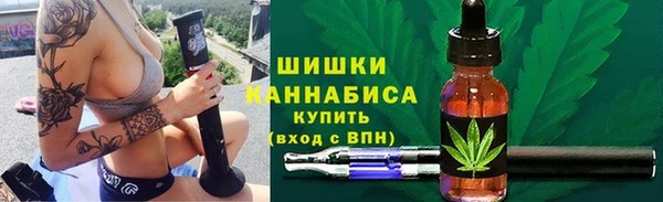 амф Богородск