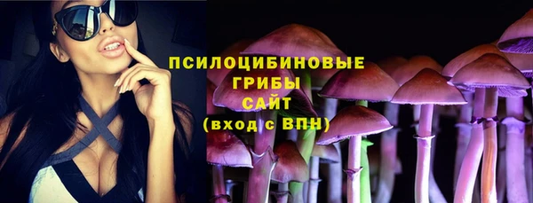 марки lsd Богородицк