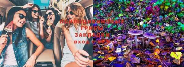 марки lsd Богородицк