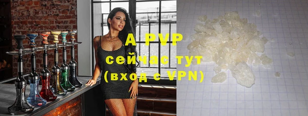 таблы Богданович