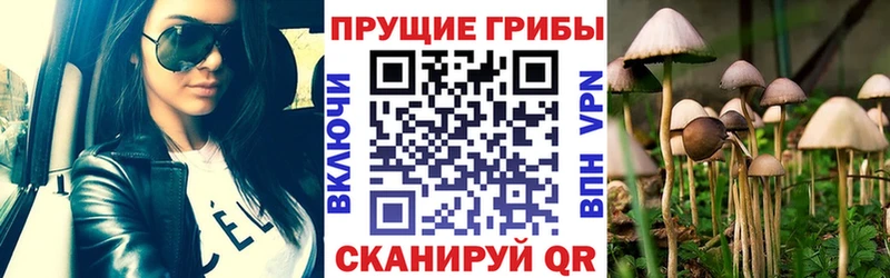 ОМГ ОМГ ССЫЛКА  Белгород  Псилоцибиновые грибы MAGIC MUSHROOMS 